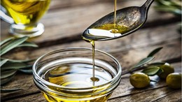 Zeytinyağı Üreticileri İçin Bu Yıl Nasıl Geçecek ?