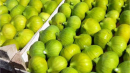 Lezzetin ve Sağlığın Kaynağı Balıkesir'de