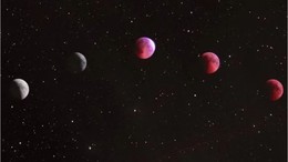Günlük Burç Yorumları: 8 Aralık