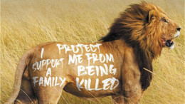 Doğa İhtişamının Kalbinde