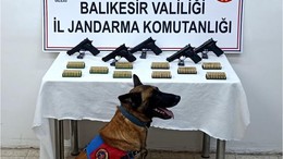 Balıkesir'de Bomba köpeği 'Vaha' kaçak silahları Nasıl buldu! kameralarda...