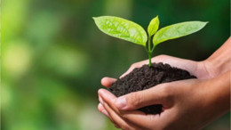 Cumhuriyet'in 100. yılında Sarıkamış’ta fidanlar toprakla buluştu