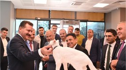 Balıkesir Her Ay 5000 Sokak Hayvanına Ulaşıyor!