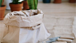 Yiyecek Artıklarından Sebze Yetiştirin