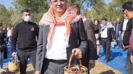 Ayvalık Zeytinyağı Dünya Kalitesinde!