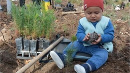 Sındırgı Geleceğe Miras Bırakmak İçin Bir Araya Geldi