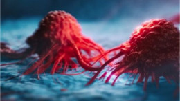 Kan Tahlilinizdeki Bu Değere Dikkat!