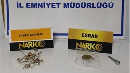 Ayvalık’ta Sihirli Mantar Operasyonu