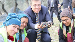 Edremit Zeytinine Avrupa'dan Tescil