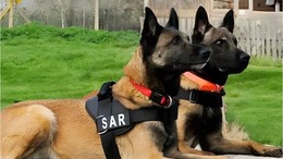 Huzurlu Sokaklar İçin 2 Narkotik Köpeği Görevde