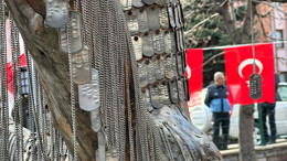 Şehit olan 12 askerin künyeleri,Şehit Ağacı'nda