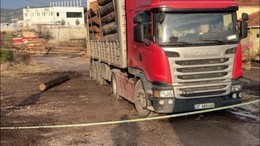 Üzerine tomruk düşen sürücü hayatını kaybetti