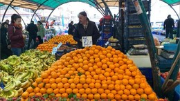 Balıkesir Kış Ayında Hangi Sebze ve Meyveyi Tüketiyor?