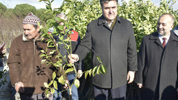 Havranlı Yetiştiricilere Fidan Desteği