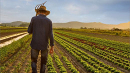 'Kırsal Kalkınma Destekleri' Toplantısı Gerçekleşecek