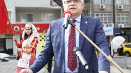 Zeytin ve Zeytinyağı Hasat Festivali Başlıyor