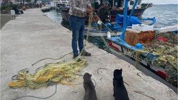 Balıkesir'de Balık Tutmanın Yolları
