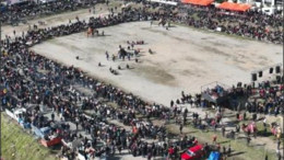 Geleneksel Deve Güreşleri Binlerce Seyirciyle Buluştu