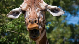 Aklınızı Başınızdan Alacak İlginç Bilgiler