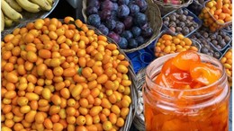 Balıkesir Sofralarında Kamkat Rüzgarı Esiyor