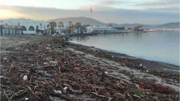 Madra'nın Odunları Ören Plajını Kapladı!