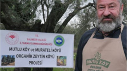 Zeytin Üretiminde Organik Dönem