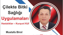 Çilekte Bitki Sağlığı Uygulamaları