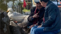 Balıkesir Havası Baharı Aratmıyor