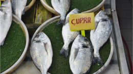 Balıkesir’de Çipura Vakti: Fiyatı 270 Lira