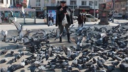 Burhaniye Meydanı Güvercinlerle Şenleniyor