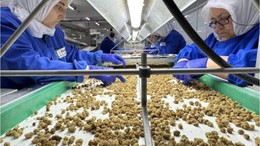 Türkiye Organik Ürün İhracatında Rekor