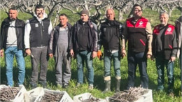 Havran’ın Coğrafi İşaretli Siyah İnciri Çoğaltılıyor