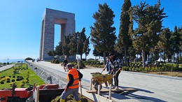 Şehitler Abidesi 18 Mart'a Hazırlanıyor