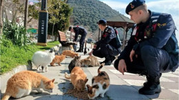 Balıkesir'in Binlerce Can Dostu Karnını Doyurdu!