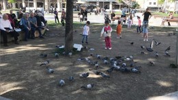Güneşli Hava Balıkesir Caddelerine Can Verdi