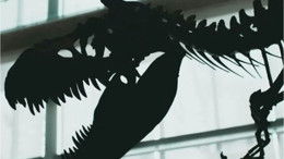 202 Milyon Yıl Öncesine Ait Yeni Tür Bulundu