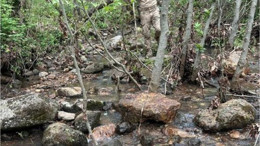 Berzeg Arama Çalışmalarında Yeni Bulgu Ortaya Çıktı