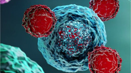 Cinsiyete Göre En Sık Görülen Kanser Türleri