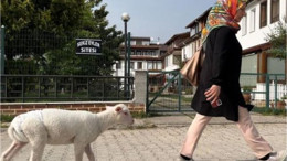 Evlerine aldıkları kuzuya bebek gibi bakıyorlar