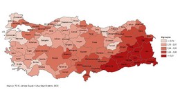 Balıkesir’de ortalama hanehalkı büyüklüğü 2,61 oldu