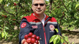 Bu Meyve İlk Defa Balıkesir'de Yetiştirildi