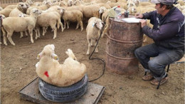 Balıkesir'e Gitmeden Anlayamayacağınız Şeyler