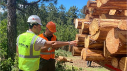 Orman Suçlarına Balıkesir'de Mobil Çözüm!