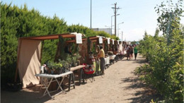 Balıkesir 5. Aromaterapi Festivali 4-7 Temmuz’da Başlıyor!