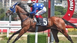 Jokey Özcan Yıldırım Avşa'da Tarih Yazdı