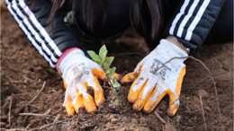 80 Bin Metrekarelik Yeşil Alan Kazandırıldı