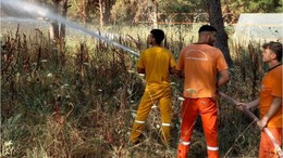 Balıkesir'de Orman Yangınlarına Karşı Yer Ekipleri Sahada