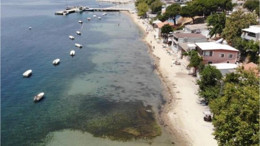 Deniz Çayırlarının Sökülmesini Cezası Belli Oldu