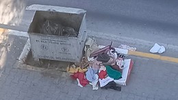 Kasaplar Mahallesi'nde Çöp Konteynırı Sorunu