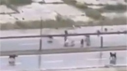 Başıboş Sokak Köpeklerinin Saldırısından Böyle Kurtuldu!